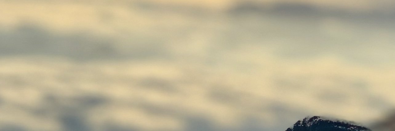 LimaIsabella's profile banner image