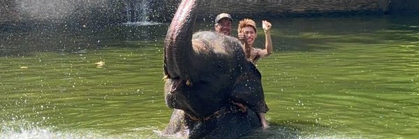 yudai_on_rails Profile Banner