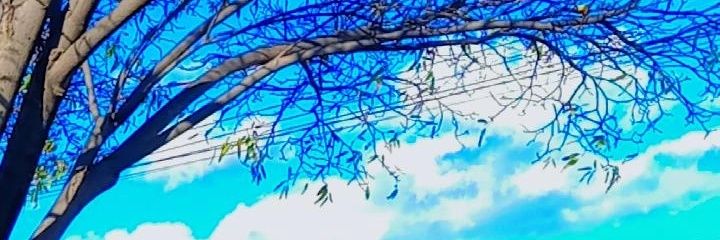 valeriadinyz's profile banner image
