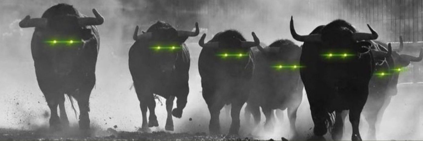 MeedHigh's profile banner image