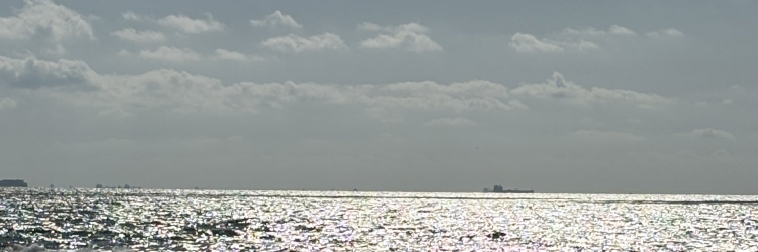 NayeraAlyy's profile banner image