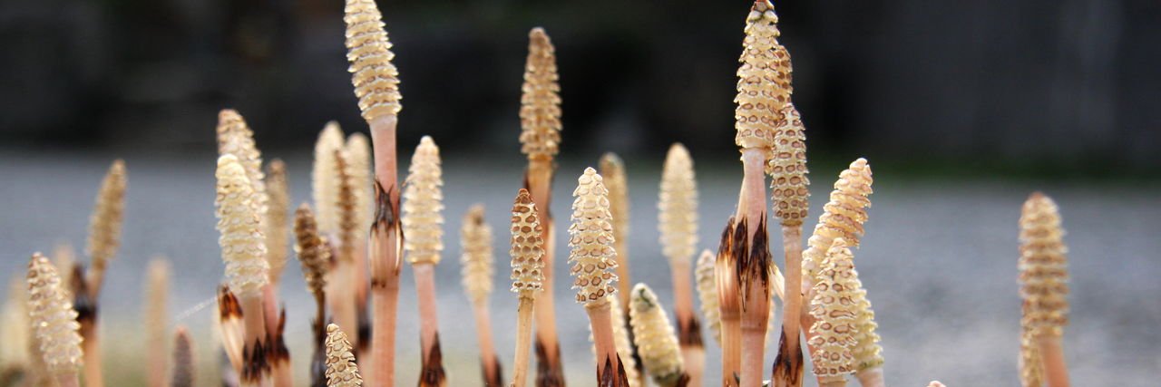 Huub Van Dalen banner