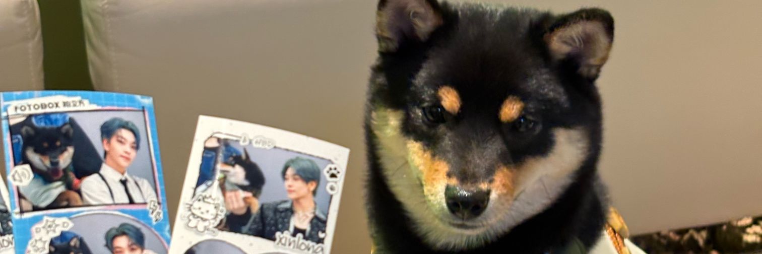 Longfordebut's profile banner image