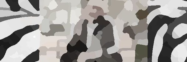 a_supanova Profile Banner