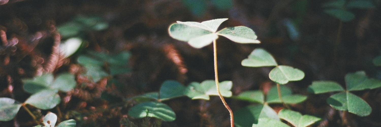 brainofdane's profile banner image