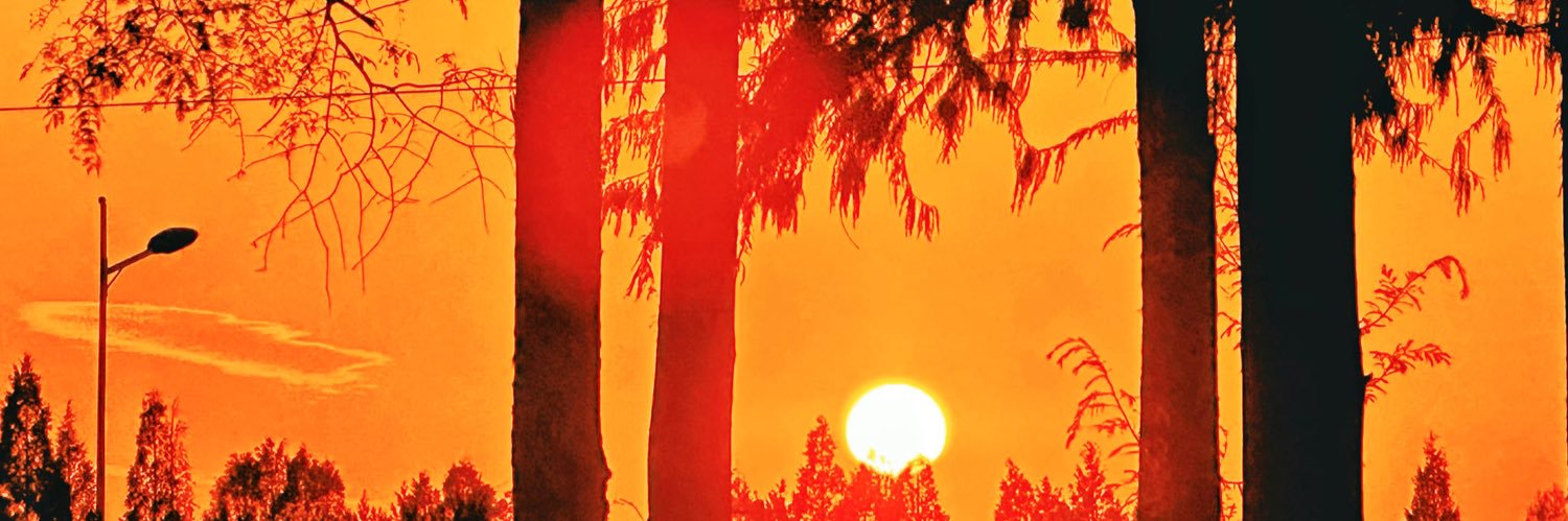 满满小狗 banner