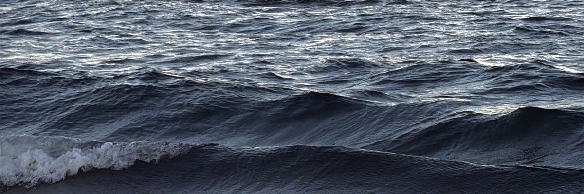 puleun ◌ banner