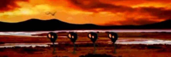 bempest Profile Banner