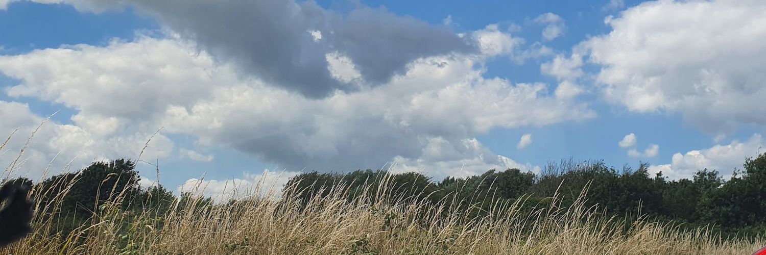 sophieLJB's profile banner image