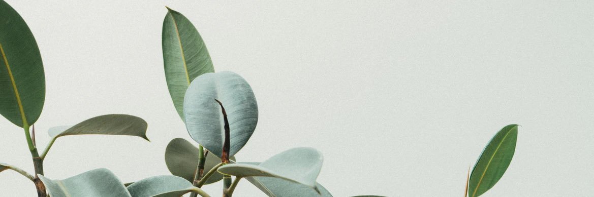 NicolleCap96's profile banner image