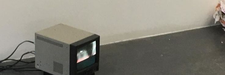 wy banner