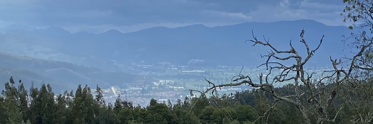 jorgevrgs1's profile banner image
