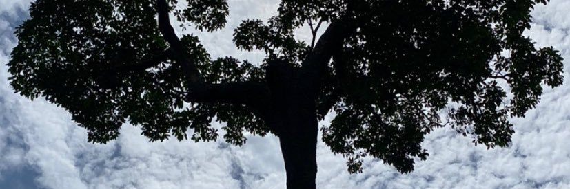 lindbergcp's profile banner image