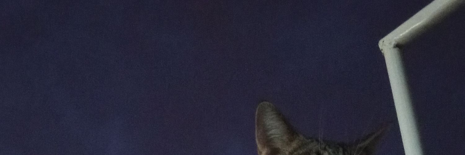 chococrispis👾's banner