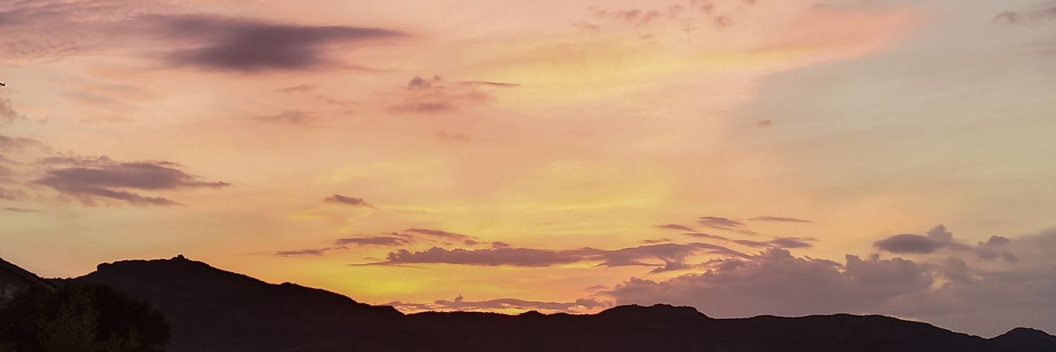 Tortugafonsi's profile banner image
