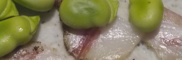 sonounmissile Profile Banner