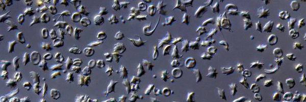 vigneshvnkt Profile Banner