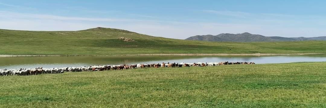 Сури🅰️ 🥰💙💞💚💛💟 banner