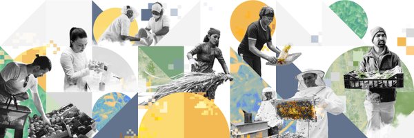 FAOInvest Profile Banner