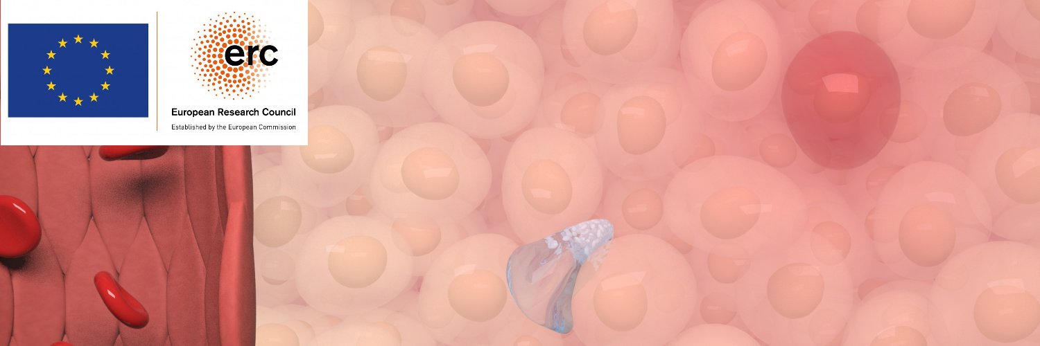 Microscale Robotics Lab banner