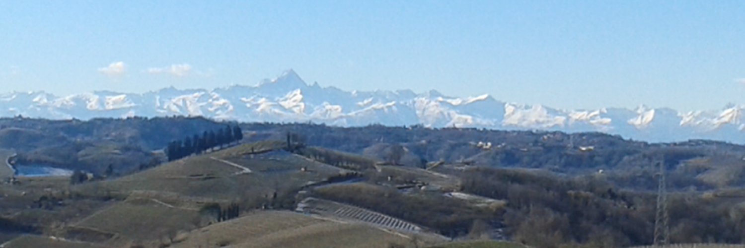 lanibaldi's profile banner image