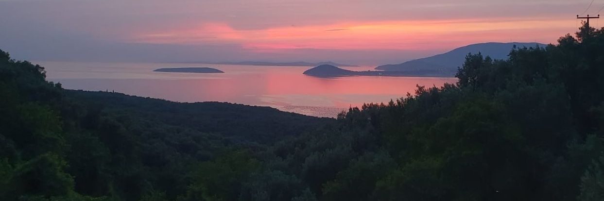 ftmbasakkoroglu's profile banner image