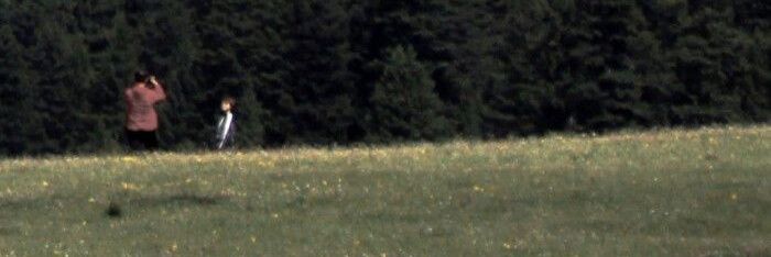 d | @blisseraa banner