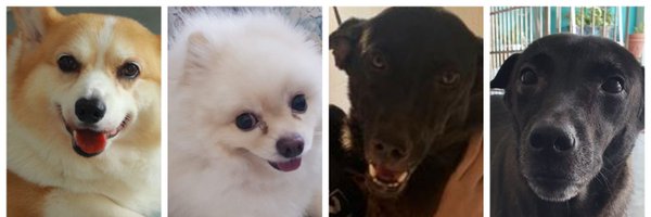 dkscheah Profile Banner