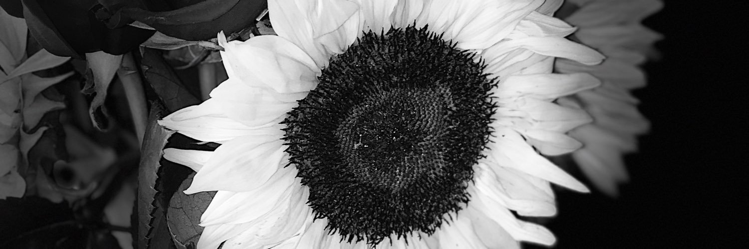 Emma_Wolff22's profile banner image