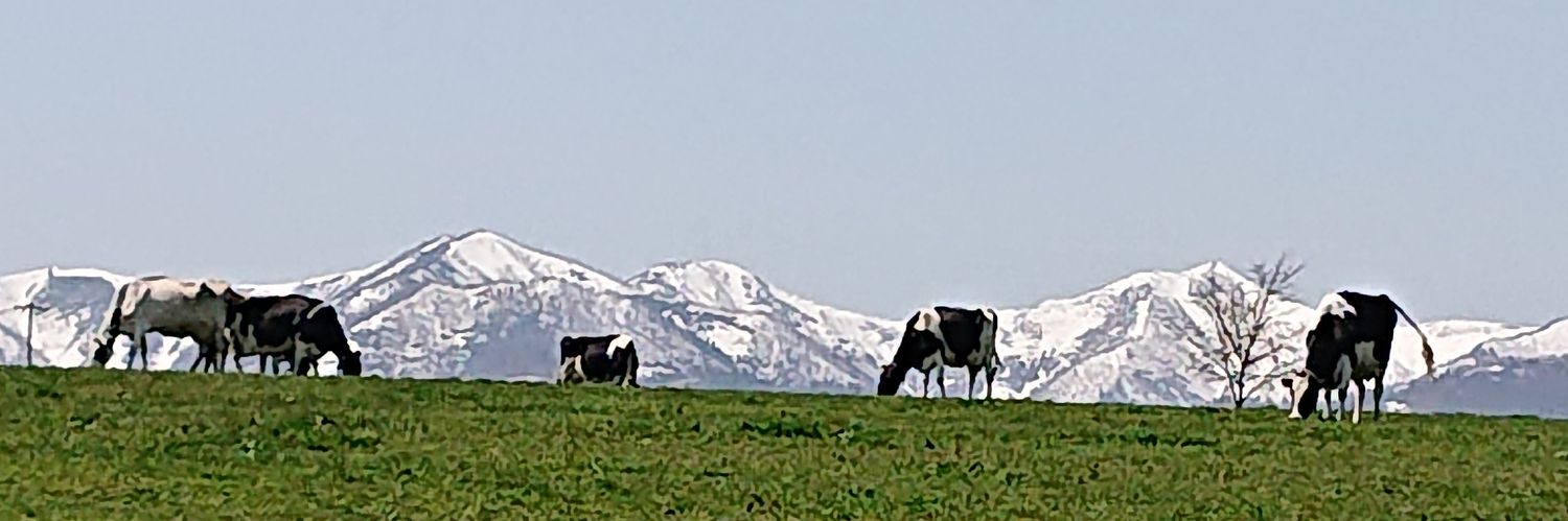 A7Tmnet's profile banner image