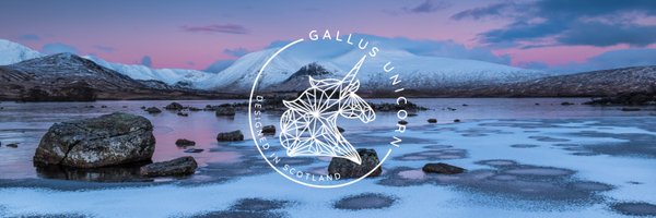 Gallus_Unicorn Profile Banner