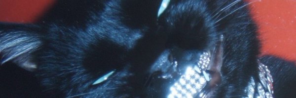 ItsN8R Profile Banner