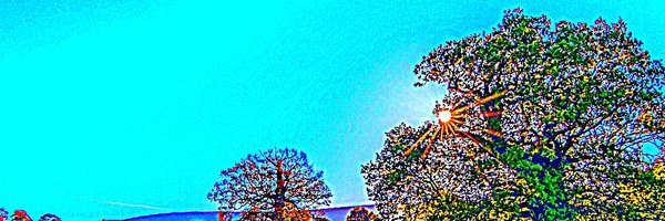 Shahin20634947 Profile Banner