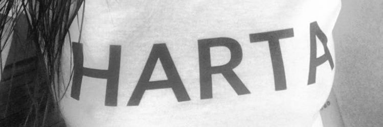 LopaLoca 💚 banner