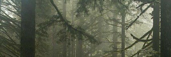 likeastage's profile banner image