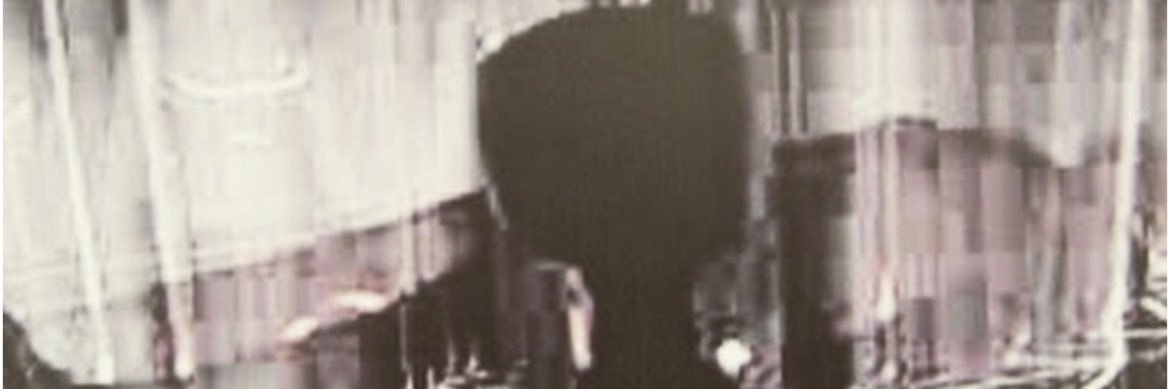 Indian Grey Alien banner