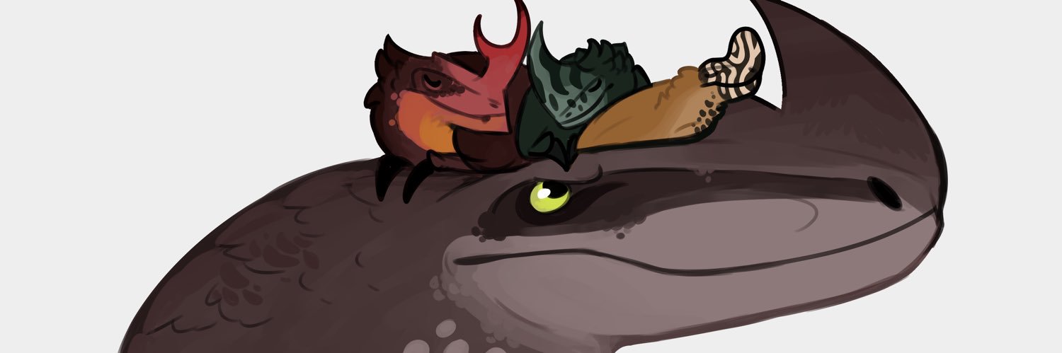 NCSDndGuy's profile banner image
