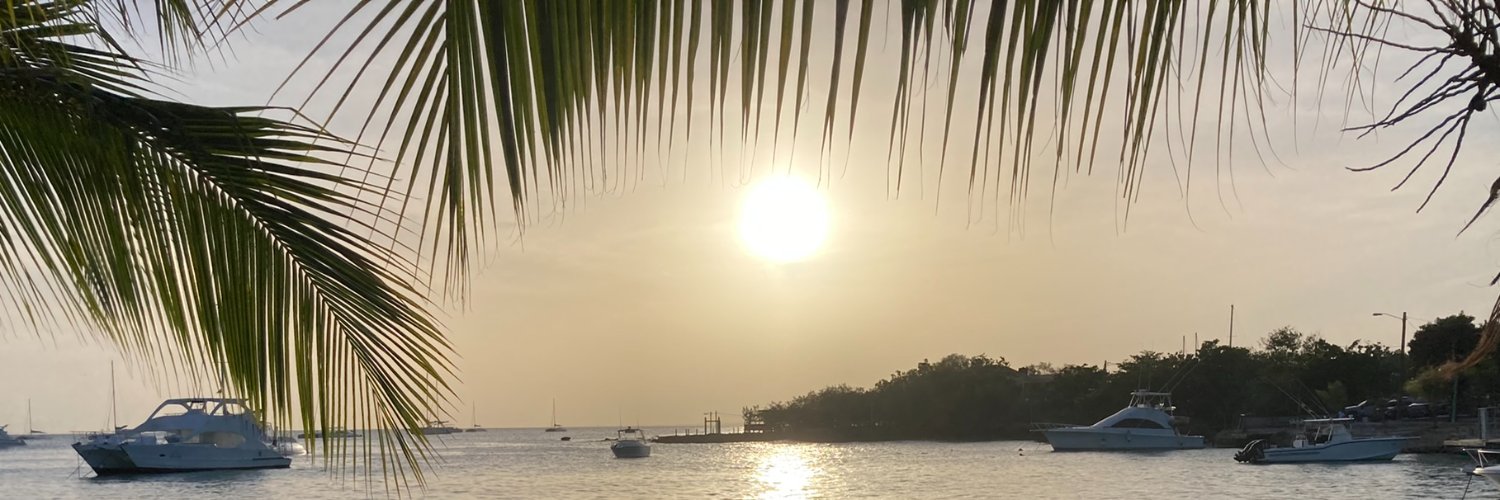 The Expat Pirate banner