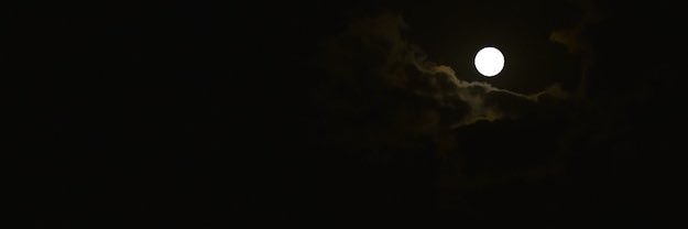 DaniSini2's profile banner image