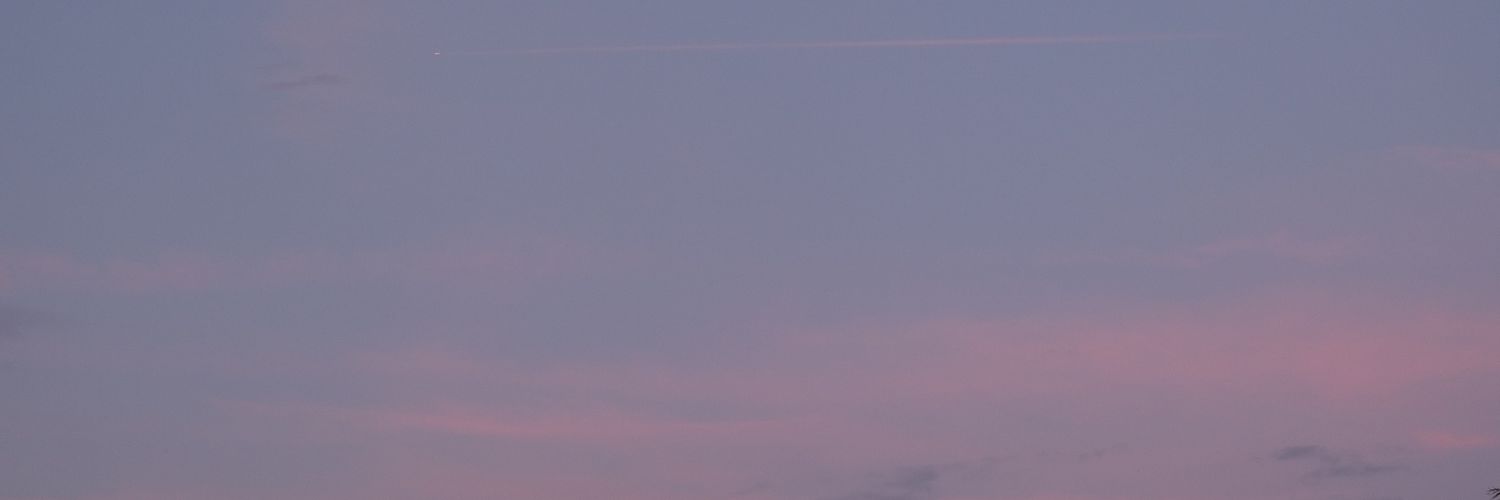 lila banner