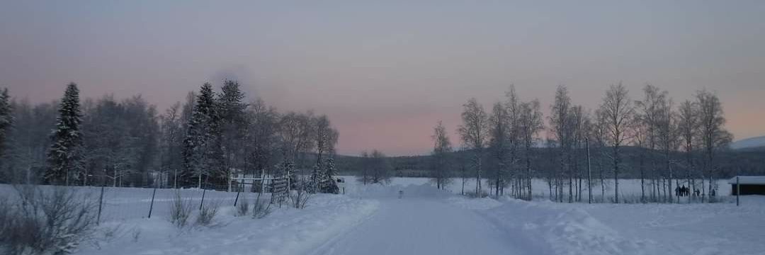 Kelly From The Block banner