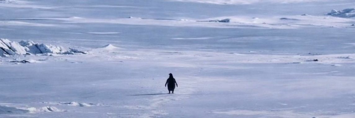 מולמבו ברזיל banner