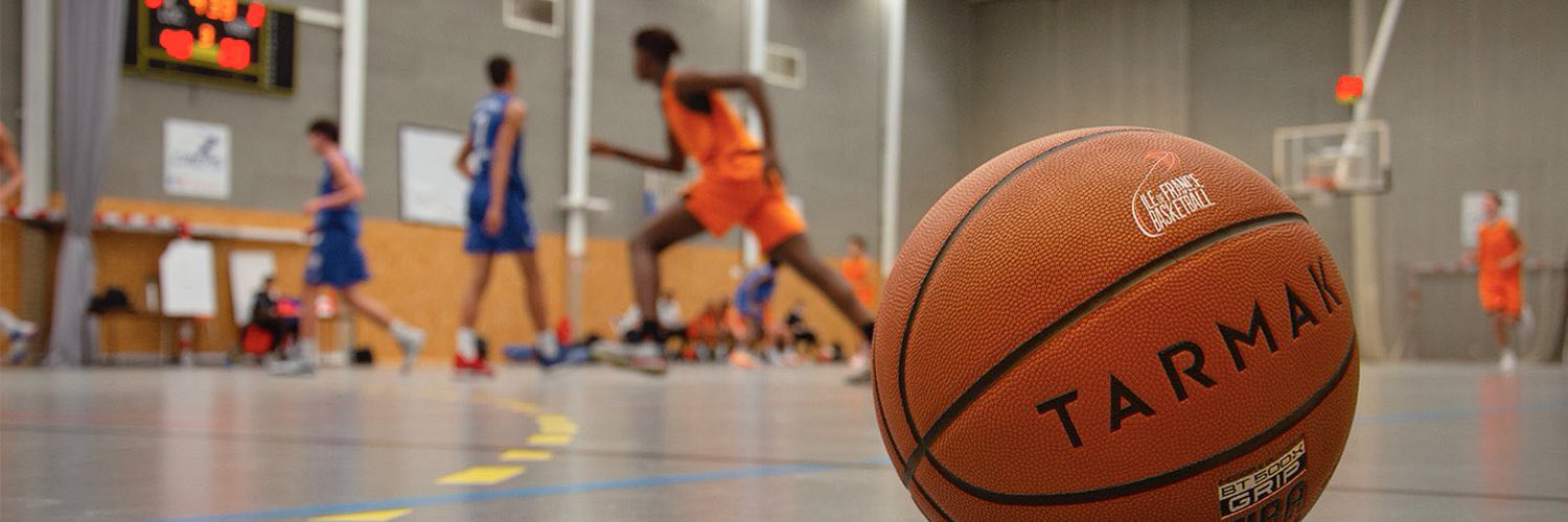 Ligue Ile de France de Basketball banner