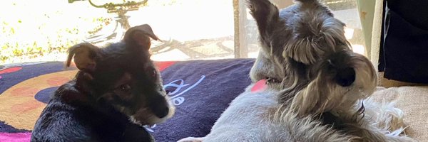 rejects Profile Banner