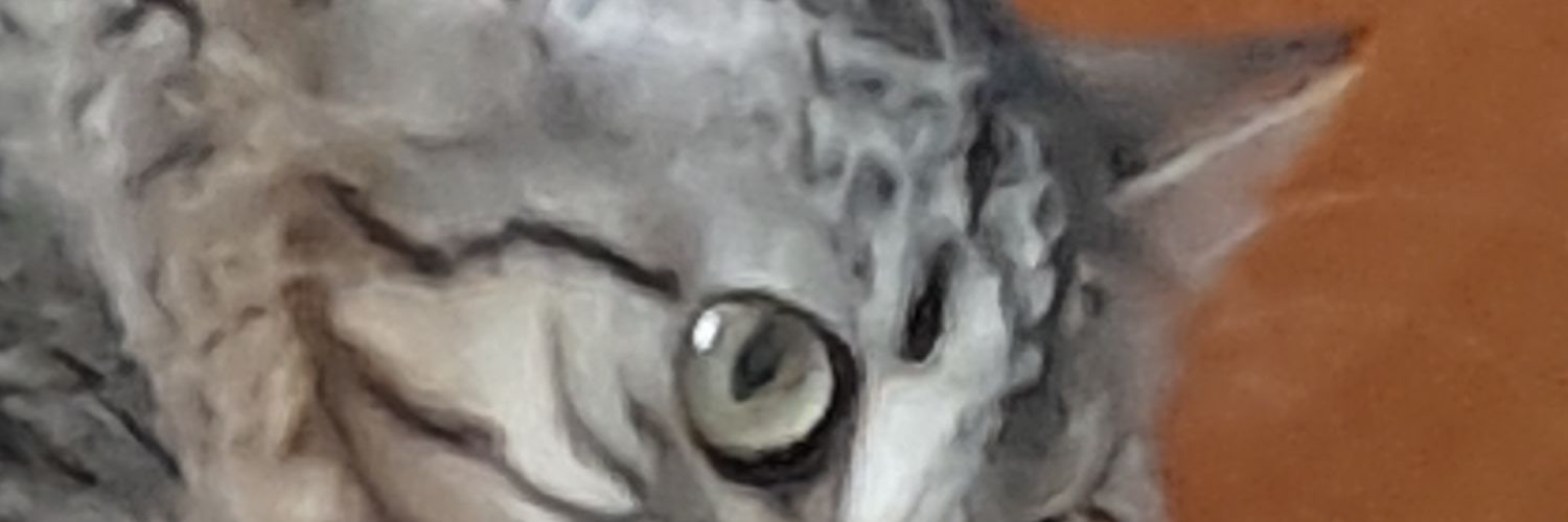 carmenfcd's profile banner image