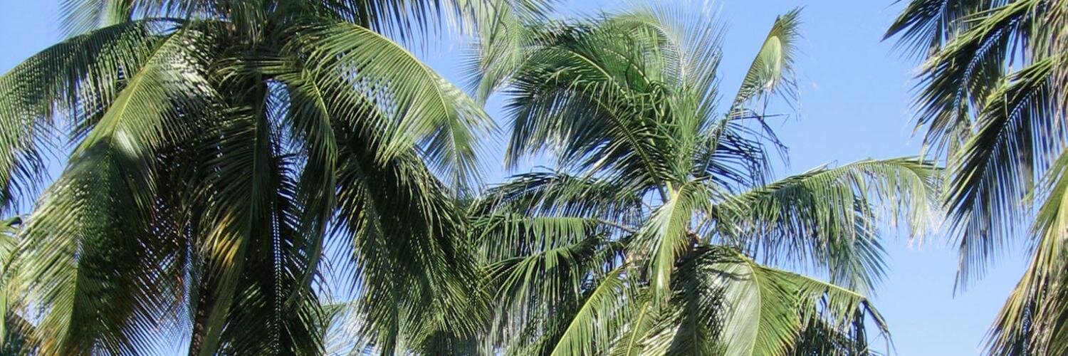 Africademic's profile banner image