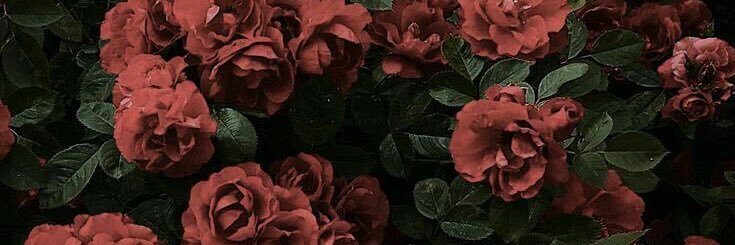 dwinkeu's profile banner image