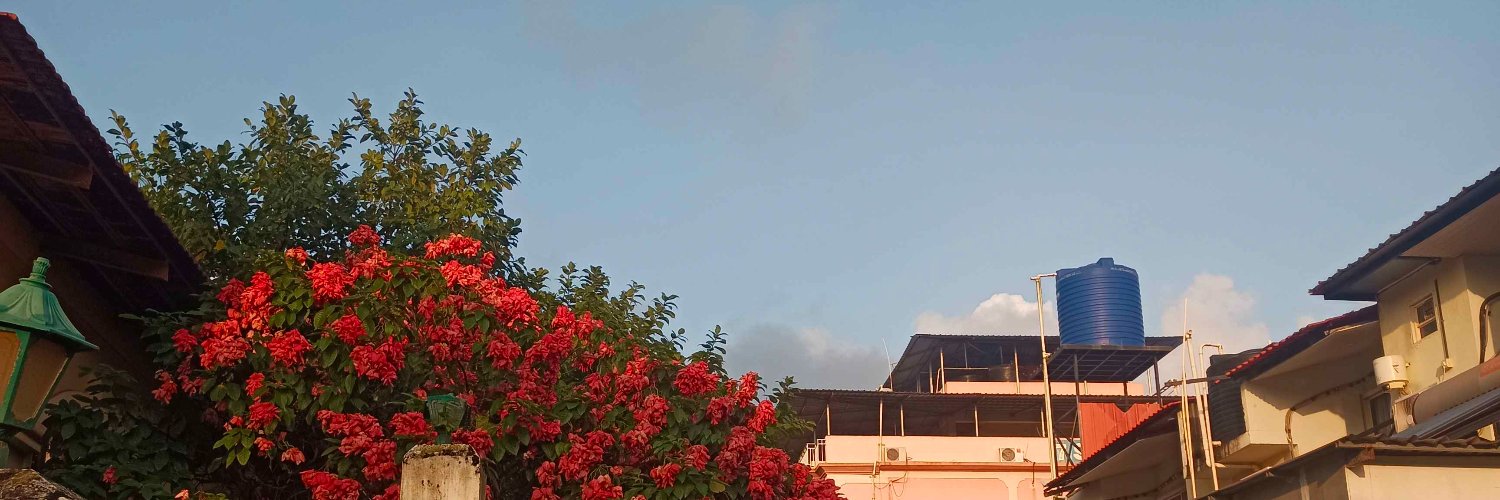 _ninama's profile banner image