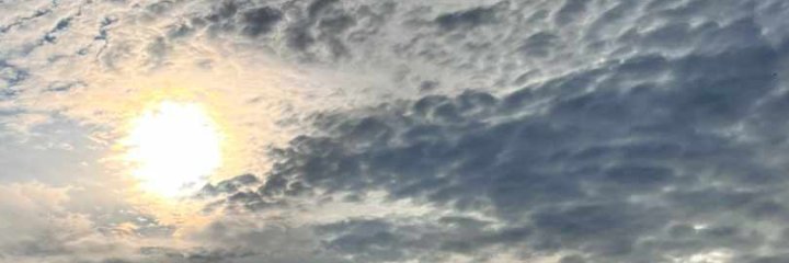 Fredo Varto banner