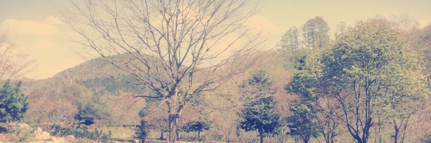 tk_shikkoubu's profile banner image
